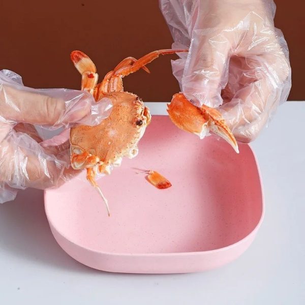 Food Grade Plastic Household Dining Plates | 10 pcs Elliptical Spit Bone Plate Set | Multi-Function & Durable