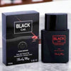 Black Car Unisex Perfume 100ml | Long-Lasting Fresh & Woody Fragrance for Men & Women