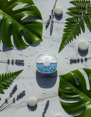 Bluetooth 5.2 True Wireless Earbuds | Digital Power Case