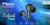Morui GM-A7 CoolPods Wireless Earbuds Bluetooth 5.3 with ANC & ENC