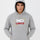 No Limits Grey Hoodie – Premium Summer Collection for Men & Boys | Stylish, Comfortable & Casual Wear